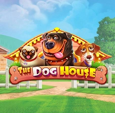 The Dog House_JeetCity Casino online slots – modern and classic reels